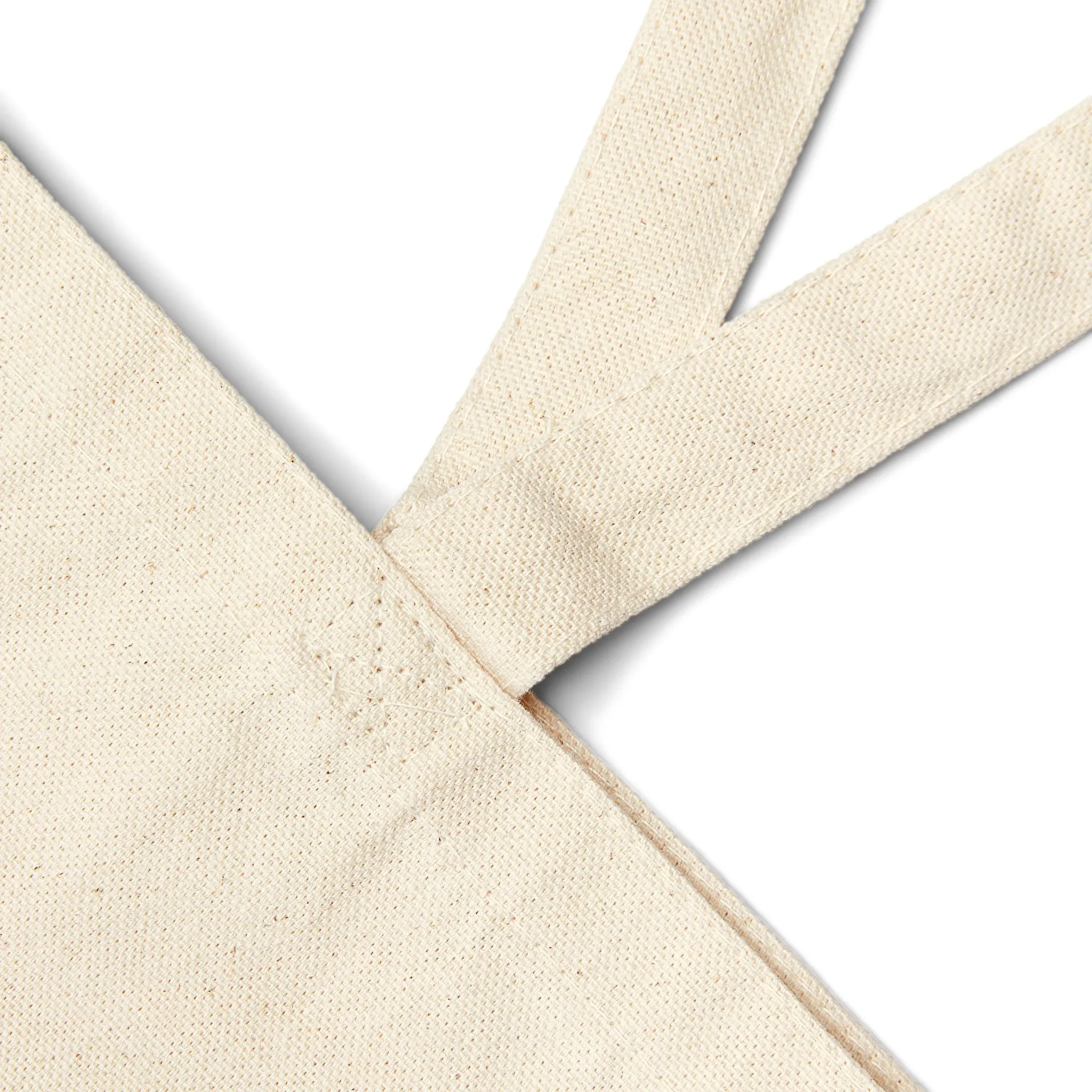 Florida Bonneted Bat - Cotton Canvas Tote