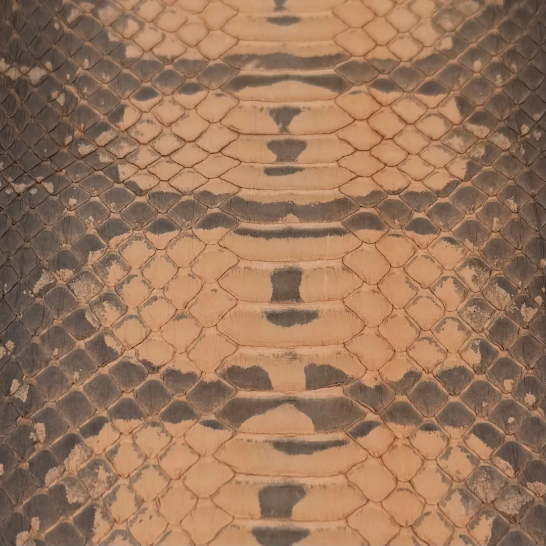 Genuine Elaphe Snakeskin | Canyon Mist