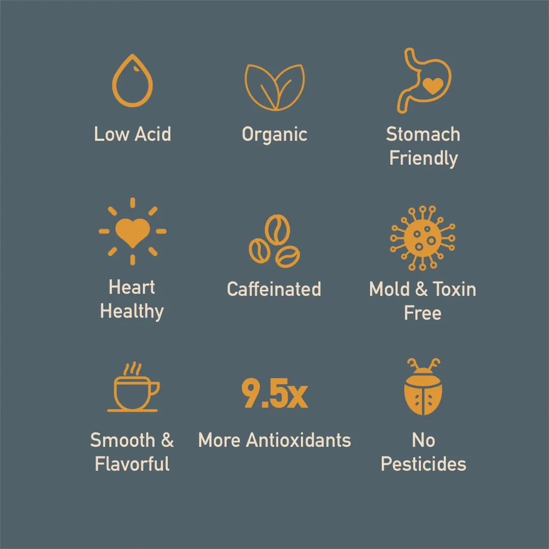 Healthy Bean Coffee - Superfood Ground, Organic, Low Acid
