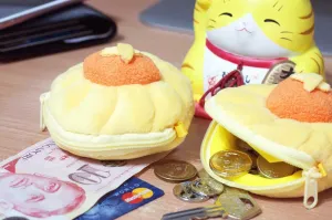 Pineapple Tart Pouch