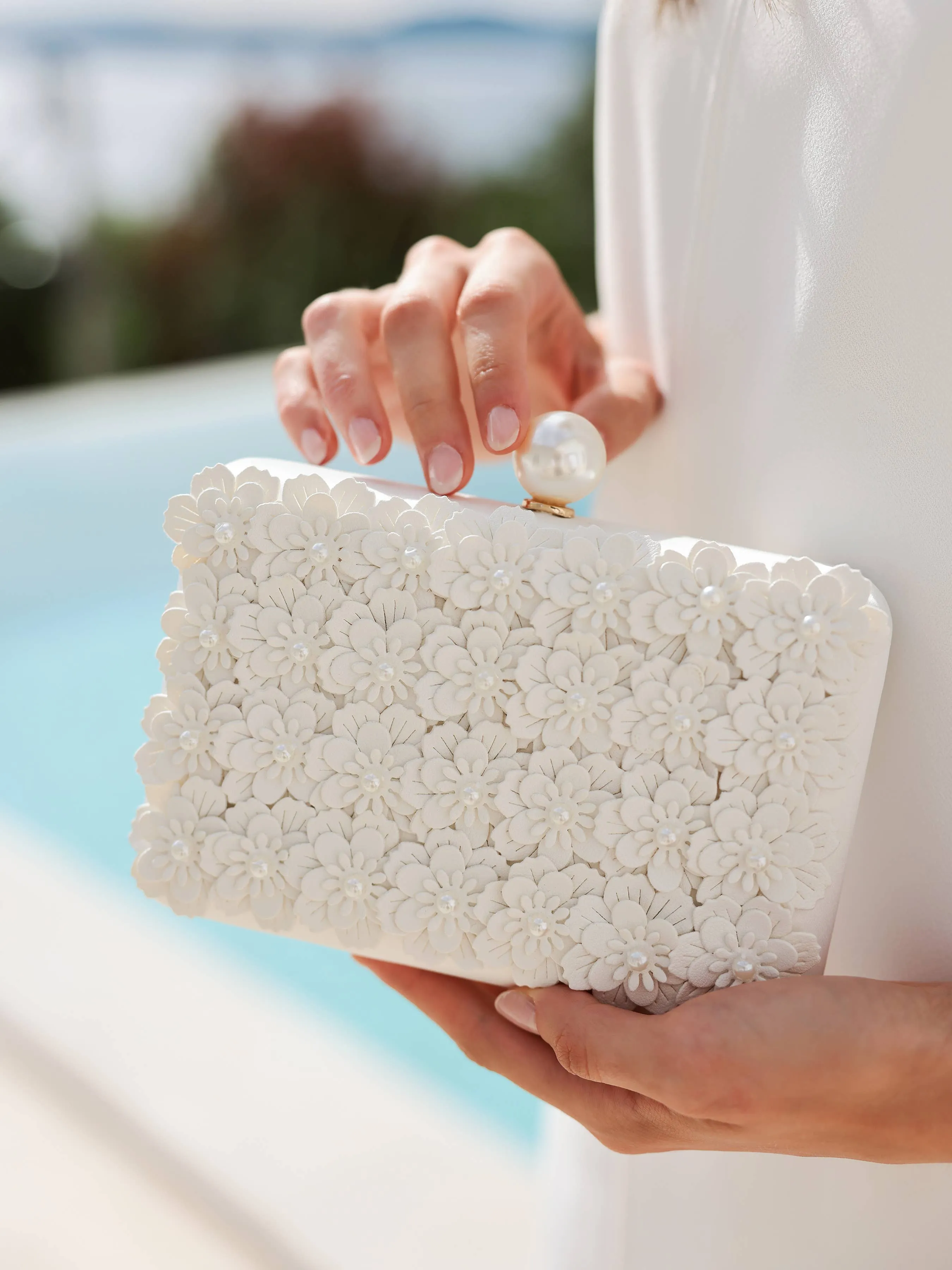 Venus Minaudiere Clutch